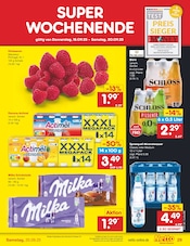 Aktueller Netto Marken-Discount Prospekt mit Schloss, "Aktuelle Angebote", Seite 33
