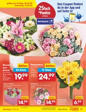 Valentinstag im Netto Marken-Discount Prospekt in Tübingen Aktueller Netto Marken-Discount Prospekt mit Valentinstag, "Aktuelle Angebote", Seite 63