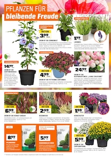 Rindenmulch Angebot im aktuellen OBI Prospekt auf Seite 22
