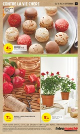 Plantes Angebote im Prospekt "LE TRÈS GROS ANNIVERSAIRE" von Intermarché Plantes Angebote im Prospekt "LE TRÈS GROS ANNIVERSAIRE" von Intermarché auf Seite 17