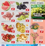 Aktueller Marktkauf Prospekt mit Kiwi, "Aktuelle Angebote", Seite 7
