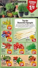 Ähnliche Angebote wie Tulpen im Prospekt "Dein Markt" auf Seite 7 von REWE in Weimar