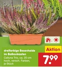 Angebot im Netto Marken-Discount Straelen Prospekt Netto Marken-Discount Straelen Prospekt mit im Angebot für 7,99 €