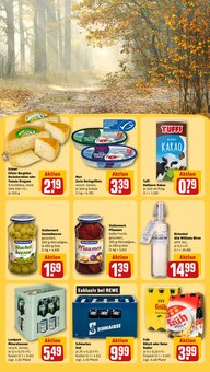 Felix Katzenfutter im REWE Prospekt "Dein Markt" mit 32 Seiten (Köln)