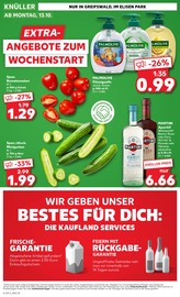 Aktueller Kaufland Prospekt mit Tomaten, "EXTRA-ANGEBOTE", Seite 8
