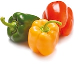 Paprika Mix für 1,89 € bei Netto mit dem Scottie im Angebot Paprika Mix im aktuellen Netto mit dem Scottie Prospekt