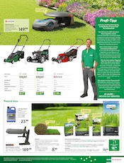 Aktueller BayWa Bau- und Gartenmärkte Prospekt mit Rasendünger, "Wir feiern, Sie sparen!", Seite 23