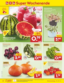 Pflanzen im aktuellen Netto Marken-Discount Prospekt (Cottbus) Pflanzen im Netto Marken-Discount Prospekt "Aktuelle Angebote" mit 65 Seiten (Cottbus)