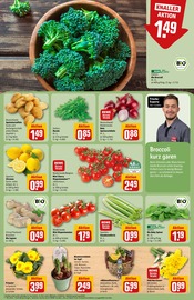 Pflanzen im REWE Prospekt in Chemnitz Aktueller REWE Prospekt mit Pflanzen, "Dein Markt", Seite 7