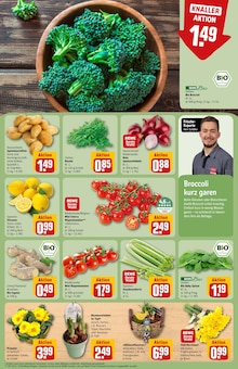 Pflanzen im REWE Prospekt "Dein Markt" mit 34 Seiten (Chemnitz)