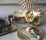 Bougie parfumée bulldog 30gr dans le catalogue Maxi Bazar