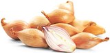 Schalotten Angebote von REWE Beste Wahl bei REWE Jena für 0,99 €