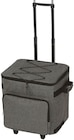 Aktuelle Kühltasche Angebote bei Penny in Magdeburg Aktuelles Kühltrolley Angebot bei Penny in Magdeburg ab 19,99 €