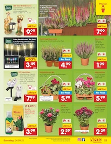Weihnachtsdeko im Netto Marken-Discount Prospekt "Aktuelle Angebote" mit 59 Seiten (Wolfsburg)