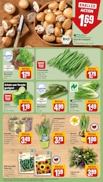 Staubsauger Angebot im aktuellen REWE Prospekt auf Seite 9