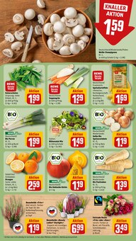 Pflanzen im REWE Prospekt "Dein Markt" mit 24 Seiten (Halle (Saale))