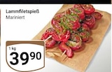 Lammfiletspieß Angebote bei GLOBUS Altenburg für 39,90 €