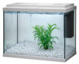 AQUARIUM GILL ÉQUIPÉ NOIR - 15L - AQUADISIO - Animalis AQUARIUM GILL ÉQUIPÉ NOIR - 15L - AQUADISIO à 24,79 € dans le catalogue Animalis