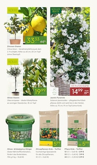 Pflanzenerde im Pflanzen Kölle Prospekt "FRÜHLINGS-FREUDE" mit 16 Seiten (München)