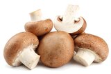 Braune Bio Champignons im Angebot bei REWE in Bergheim Braune Bio Champignons Angebote bei REWE Bergheim für 2,39 €