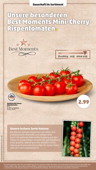 Tomaten im aktuellen Penny Prospekt (Mönchengladbach) Tomaten im Penny Prospekt "Wer günstig will, muss Penny." mit 34 Seiten (Mönchengladbach)