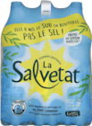 Eau gazeuse - LA SALVETAT en promo chez Monoprix Eau gazeuse - LA SALVETAT dans le catalogue Monoprix