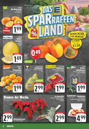 Kiwi im EDEKA Prospekt in Dortmund Aktueller EDEKA Prospekt mit Kiwi, "Aktuelle Angebote", Seite 2