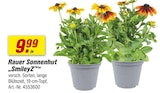 Rauer Sonnenhut „SmileyZ“ im toom Baumarkt Prospekt Rauer Sonnenhut „SmileyZ“ von im aktuellen toom Baumarkt Prospekt für 9,99 €