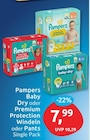 Baby Dry von Pampers im aktuellen budni Prospekt