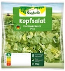 REWE Kerpen - Gartensalat oder Kopfsalat Angebot im Prospekt Gartensalat oder Kopfsalat bei REWE im Kerpen Prospekt für 1,79 €