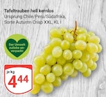 Tafeltrauben hell kernlos Angebote bei GLOBUS Erfurt für 4,44 €