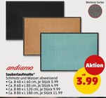Sauberlaufmatte von andiamo im aktuellen Penny Prospekt für 3,99 €