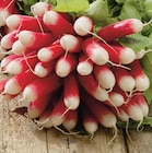 Radis Rose dans le catalogue Netto