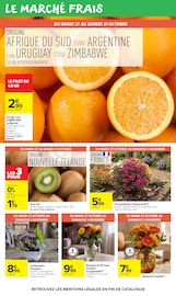 Promos Chrysanthèmes dans le catalogue "Carrefour market" de Carrefour Market Chrysanthèmes en promo dans le catalogue Carrefour Market à la page 17