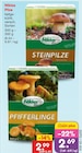 Steinpilze im Angebot bei Netto Marken-Discount in Hannover Steinpilze Angebote von Niklas bei Netto Marken-Discount Hannover für 2,69 €