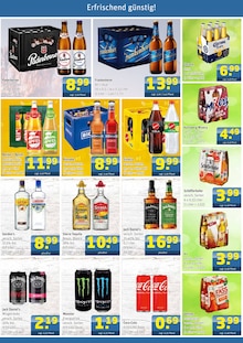 Cola im Getränke Arena Prospekt "DIE GETRÄNKEKÖNNER" mit 4 Seiten (Essen)