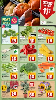 Blumen im aktuellen REWE Prospekt (Stuttgart) Blumen im REWE Prospekt "Dein Markt" mit 18 Seiten (Stuttgart)