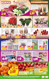 Orchidée Angebote im Prospekt "Votre Discounter Régional" von Norma auf Seite 4