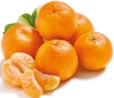 Mandarinen 'Nadorcott' von  im aktuellen Netto mit dem Scottie Prospekt für 1,69 €