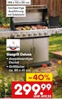 Gasgrill Deluxe Angebote bei Netto Marken-Discount Bayreuth für 299,99 €