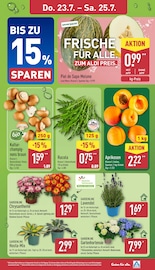 Hortensie im ALDI Nord Prospekt in Wilhelmshaven Aktueller ALDI Nord Prospekt mit Hortensie, "Aktuelle Angebote", Seite 27