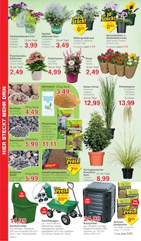 Dielen Angebot im aktuellen Jawoll Prospekt auf Seite 8