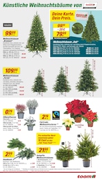 Christbaum Angebot & Preis im aktuellen toom Baumarkt Prospekt Christbaum Angebot im aktuellen toom Baumarkt Prospekt auf Seite 3