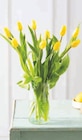 Bouquet de 10 tulipes de glace - Super U à Metz Bouquet de 10 tulipes de glace en promo chez Super U Metz à 5,99 €
