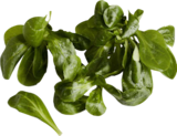 Bioland-Feldsalat bei EDEKA im Prospekt "" für 1,99 €