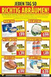 Holz Angebot im aktuellen E center Prospekt auf Seite 20