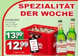 Budweiser im Angebot bei Getränke Paradies in Hamm Budweiser Angebote bei Getränke Paradies Hamm für 12,99 €