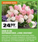 RISPENHORTENSIE âLIVING CREATIONSâ im OBI Prospekt RISPENHORTENSIE âLIVING CREATIONSâ von GROW BY OBI im aktuellen OBI Prospekt fĂŒr 24,99 âŹ