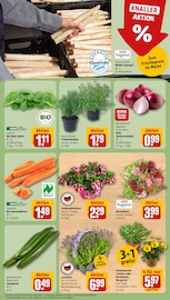 Aktueller REWE Prospekt mit Lavendel, "Dein Markt", Seite 11