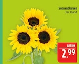 Aktuelle Blumen Angebote bei Marktkauf in Fürth Aktuelles Sonnenblumen Angebot bei Marktkauf in Fürth ab 2,99 €
